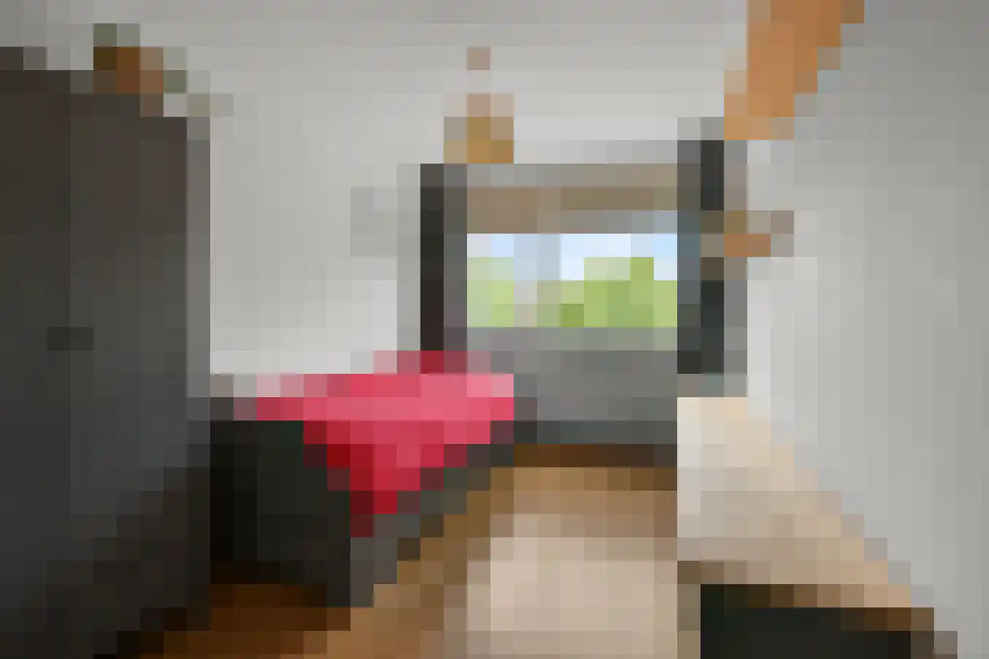 Kruiskroft 8 Egmond-Binnen thumbnail 25