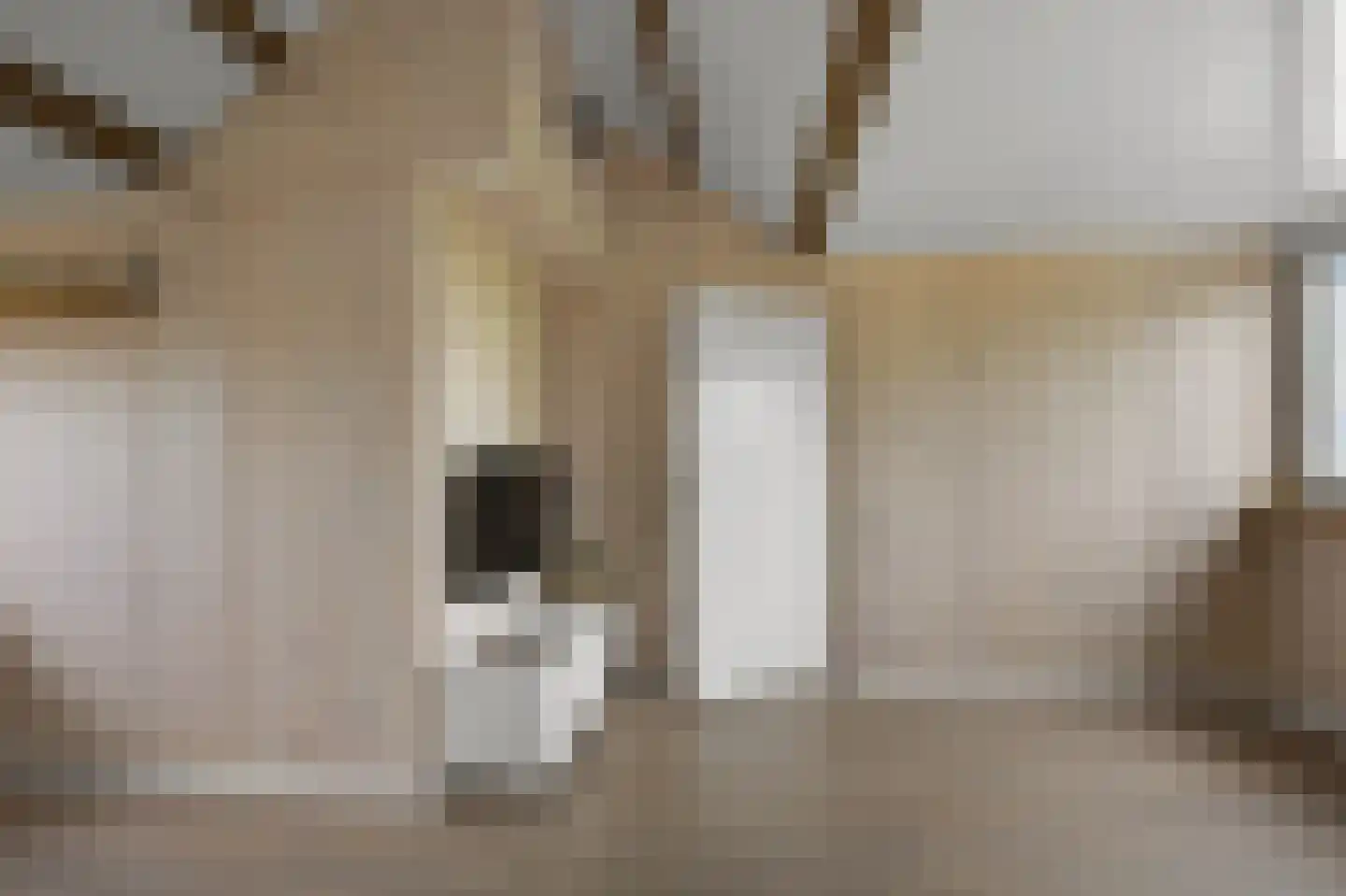 Kruiskroft 8 Egmond-Binnen thumbnail 37