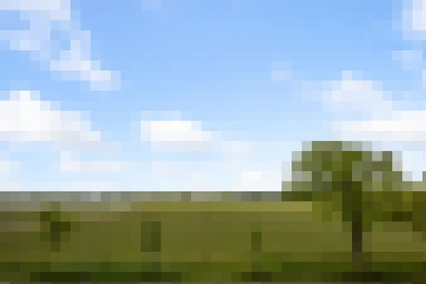 Kruiskroft 8 Egmond-Binnen thumbnail 39