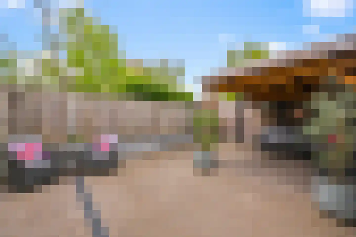 Kruiskroft 8 Egmond-Binnen thumbnail 48