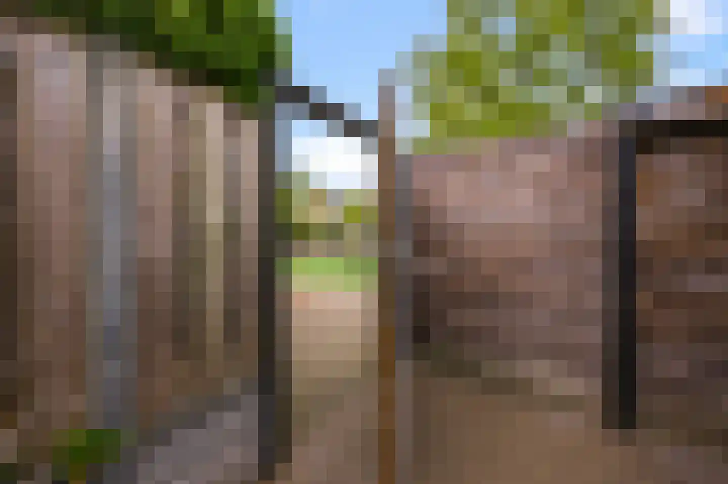 Kruiskroft 8 Egmond-Binnen thumbnail 49