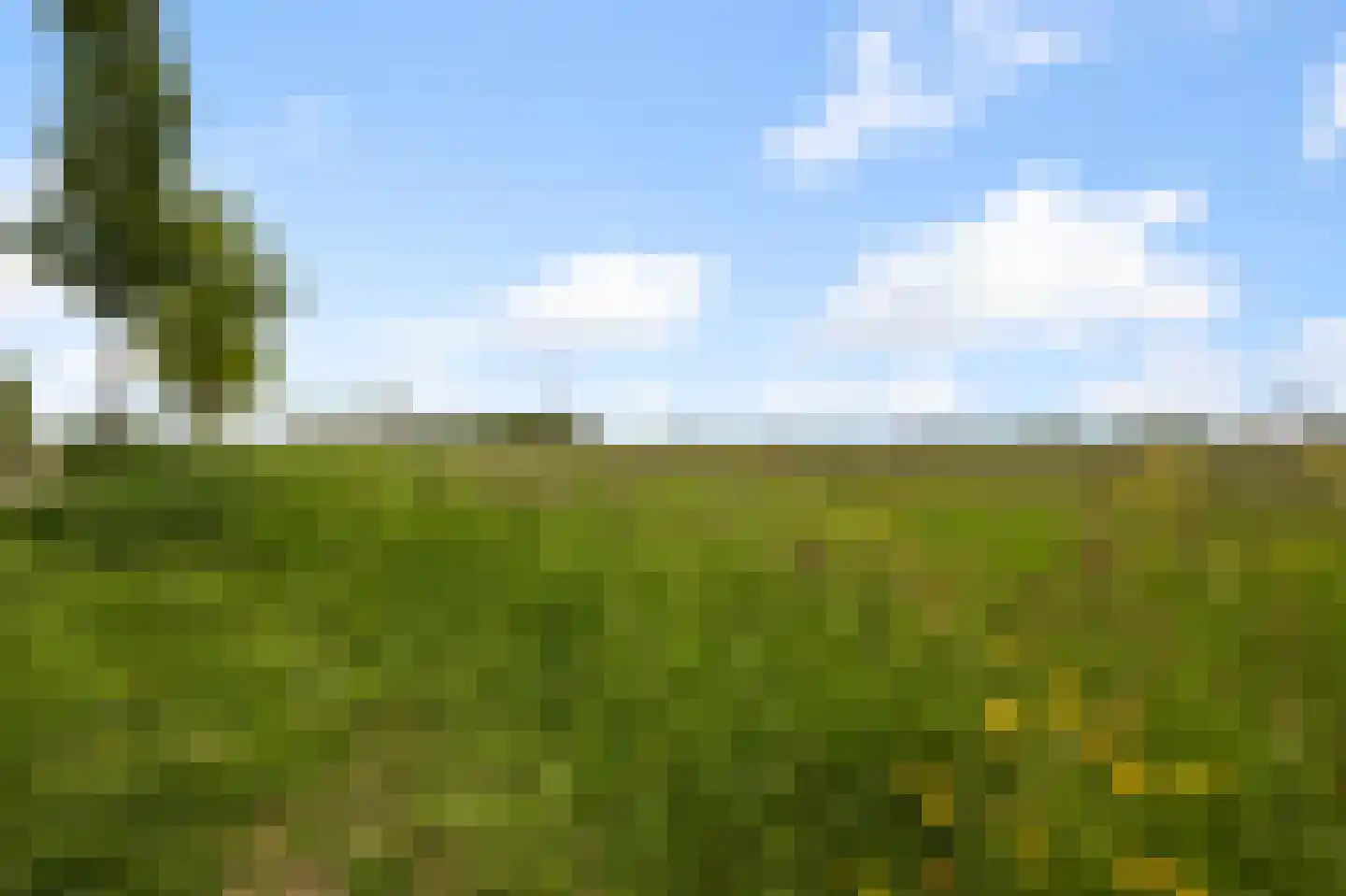 Kruiskroft 8 Egmond-Binnen thumbnail 55