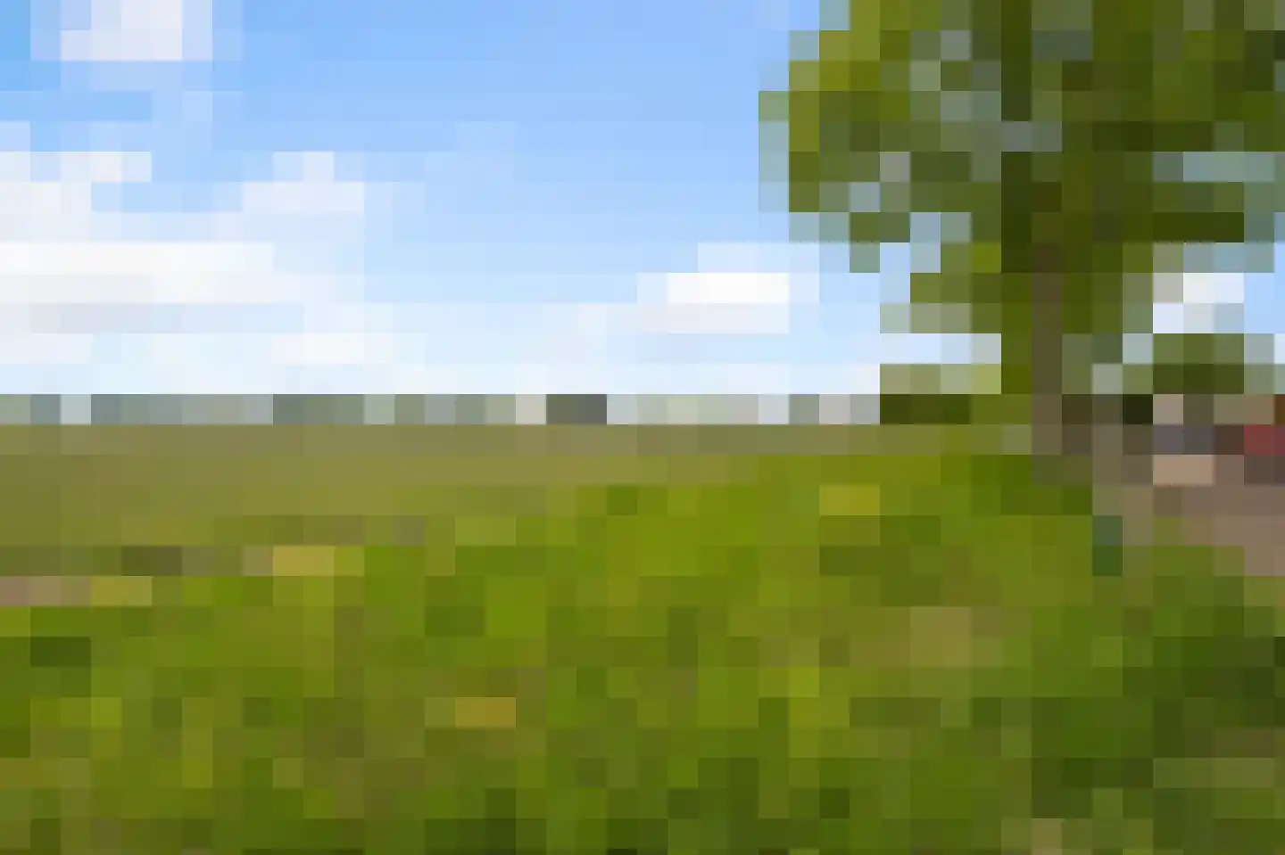 Kruiskroft 8 Egmond-Binnen thumbnail 7