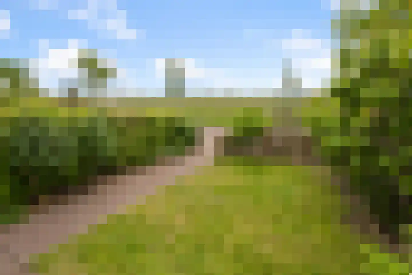Kruiskroft 8 Egmond-Binnen thumbnail 8