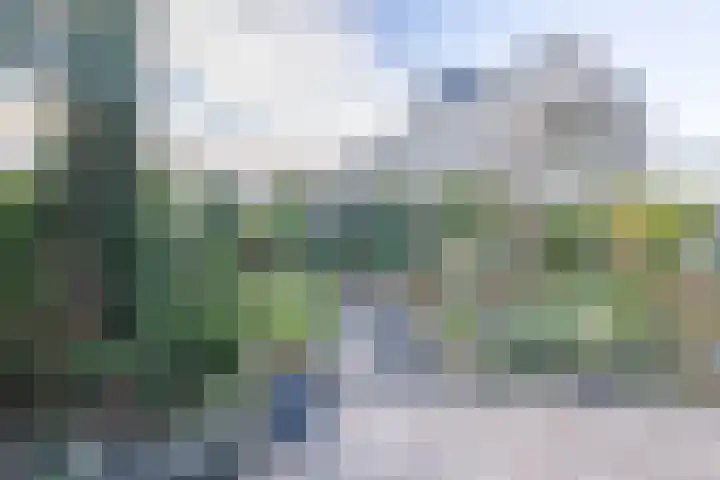 Kruiskruid 24 Boskoop thumbnail 13