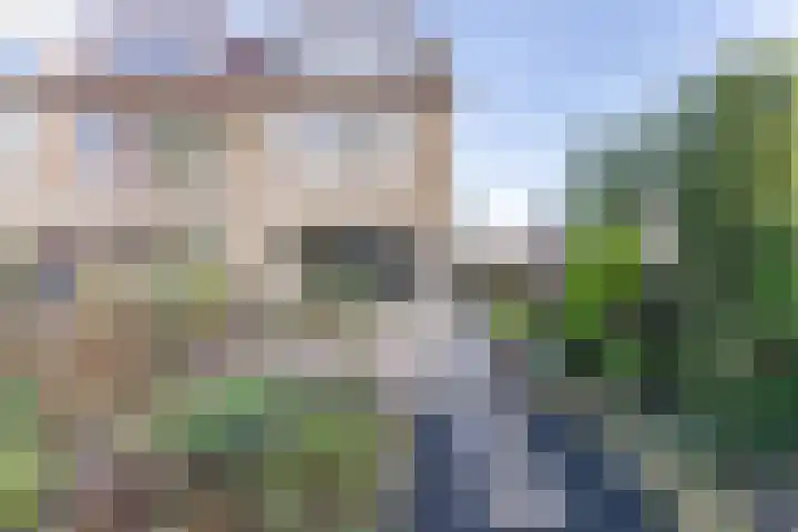 Kruiskruid 24 Boskoop thumbnail 15