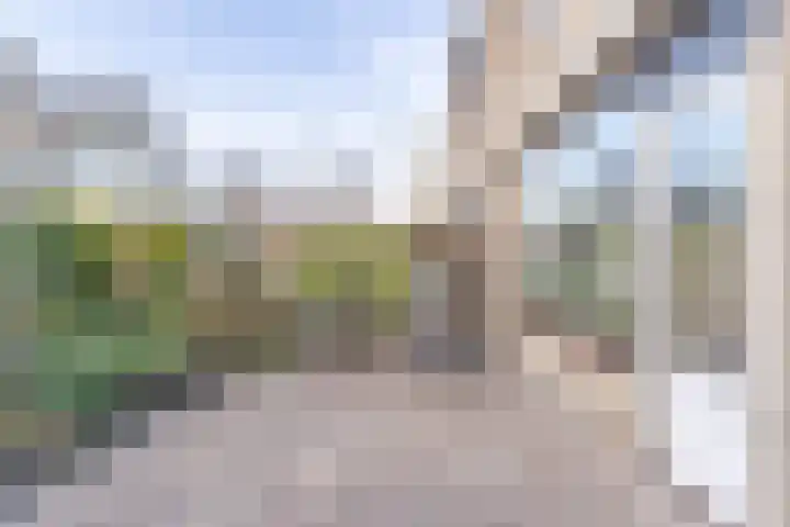 Kruiskruid 24 Boskoop thumbnail 16