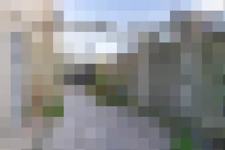 Kruiskruid 24 Boskoop thumbnail 17