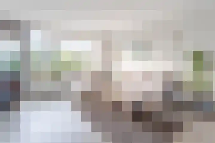 Kruiskruid 24 Boskoop thumbnail 18