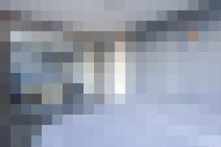 Kruiskruid 24 Boskoop thumbnail 21