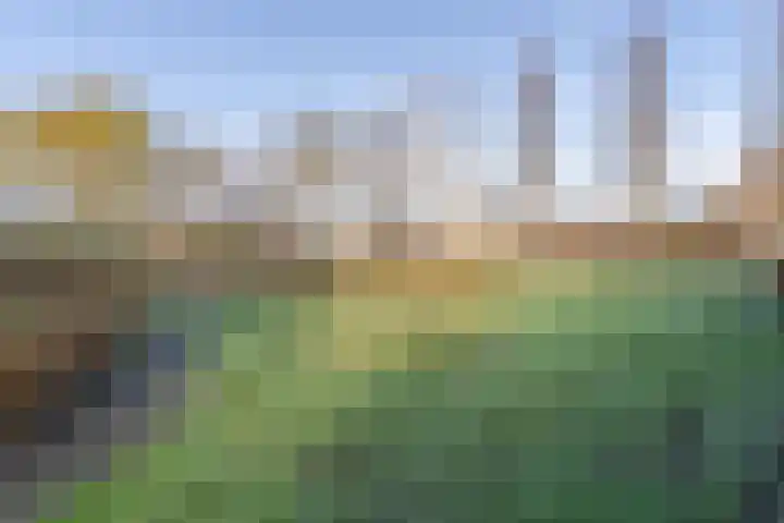 Kruiskruid 24 Boskoop thumbnail 29