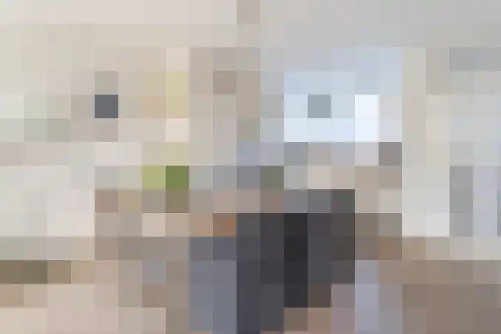 Kruiskruid 24 Boskoop thumbnail 7