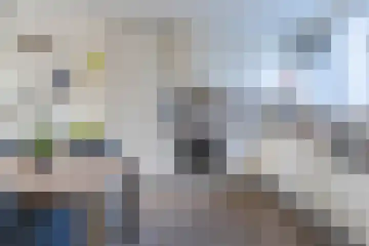 Kruiskruid 24 Boskoop thumbnail 9