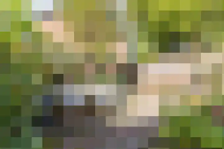 Kruiskruidlaan 12 Baarn thumbnail 26