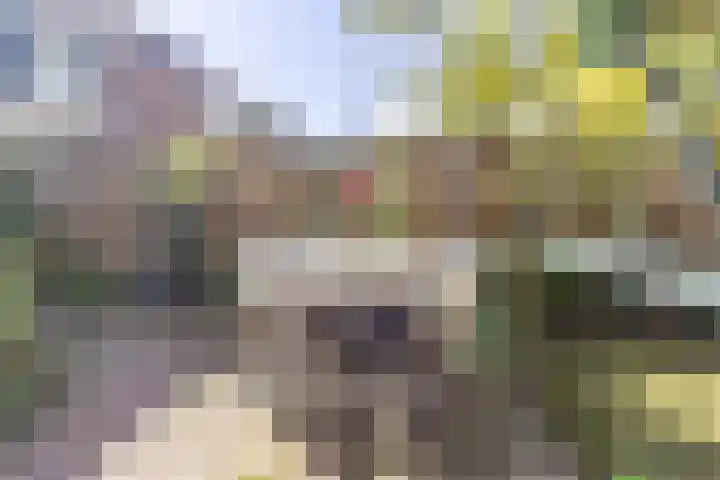 Kruiskruidlaan 12 Baarn thumbnail 27