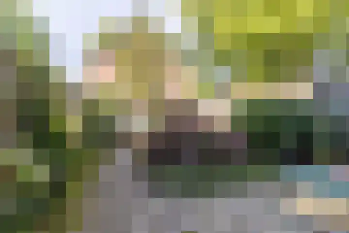 Kruiskruidlaan 12 Baarn thumbnail 29