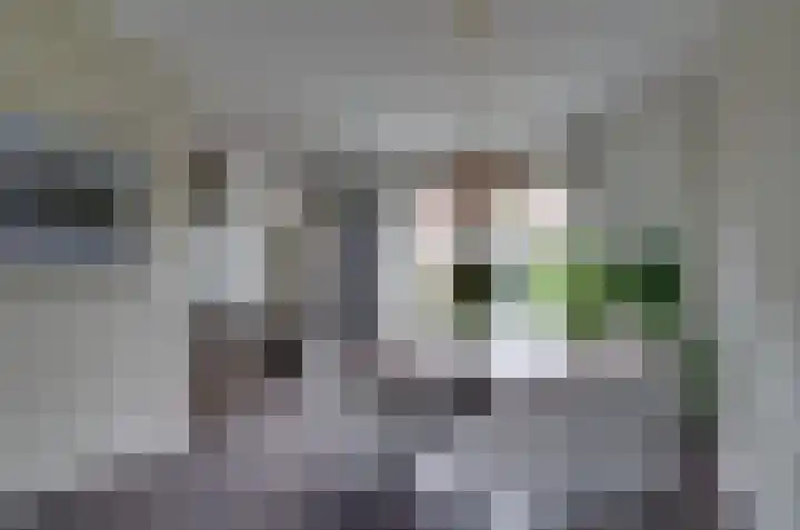Kruiskruidlaan 23 Beilen thumbnail 10