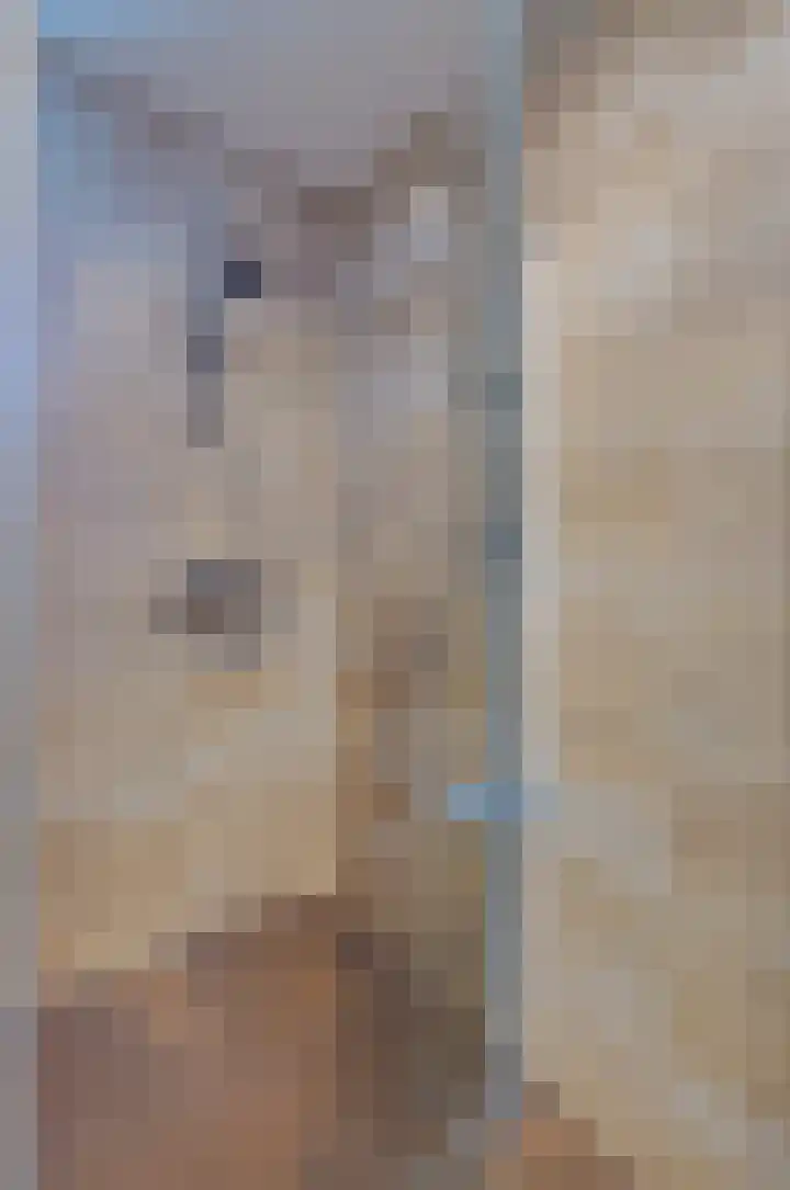 Kruiskruidlaan 23 Beilen thumbnail 25