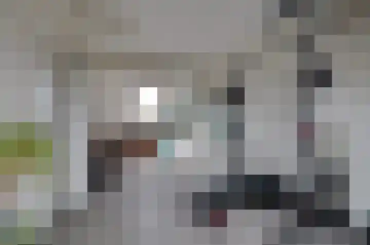 Kruiskruidlaan 23 Beilen thumbnail 26