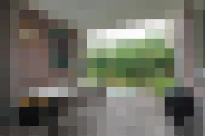 Kruiskruidlaan 23 Beilen thumbnail 28