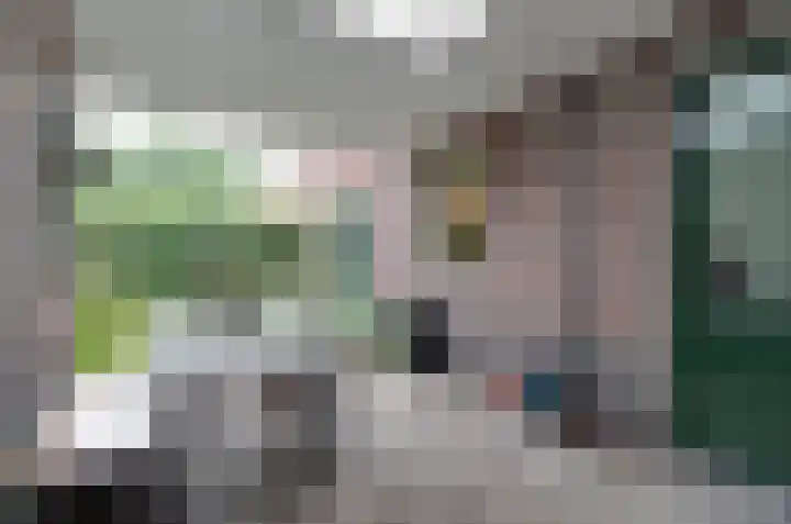 Kruiskruidlaan 23 Beilen thumbnail 29
