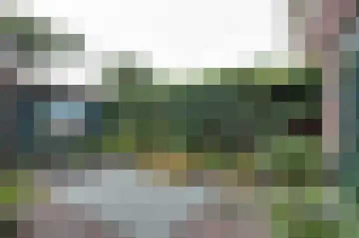 Kruiskruidlaan 23 Beilen thumbnail 30