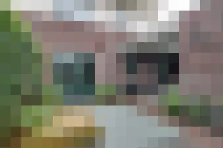 Kruiskruidlaan 23 Beilen thumbnail 32