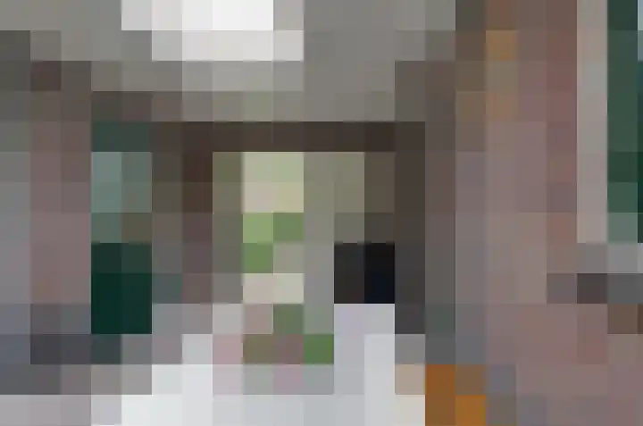 Kruiskruidlaan 23 Beilen thumbnail 33