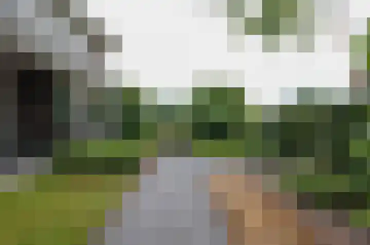 Kruiskruidlaan 23 Beilen thumbnail 35
