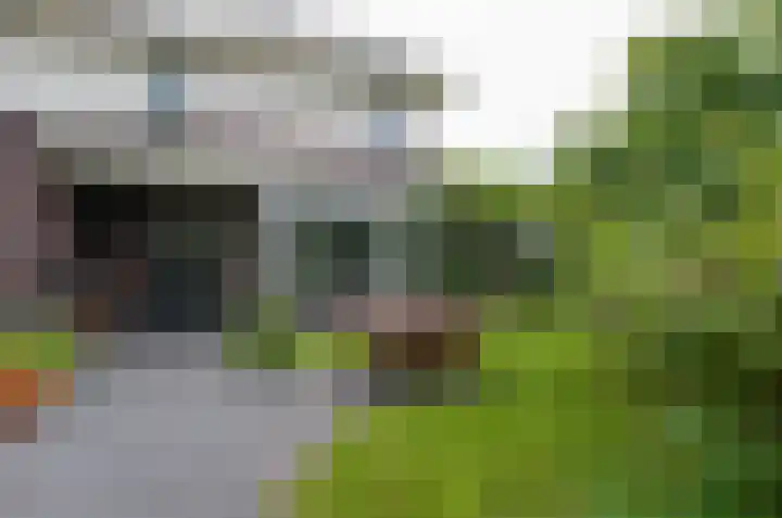 Kruiskruidlaan 23 Beilen thumbnail 36