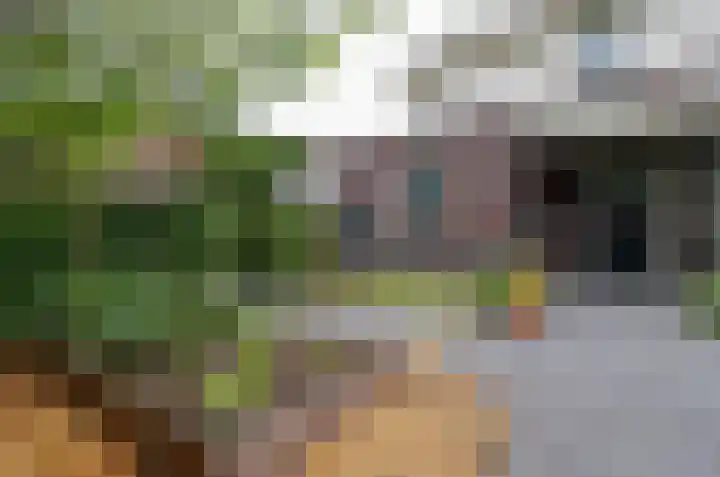 Kruiskruidlaan 23 Beilen thumbnail 37