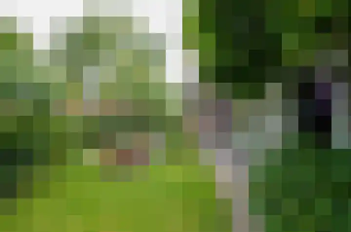 Kruiskruidlaan 23 Beilen thumbnail 38