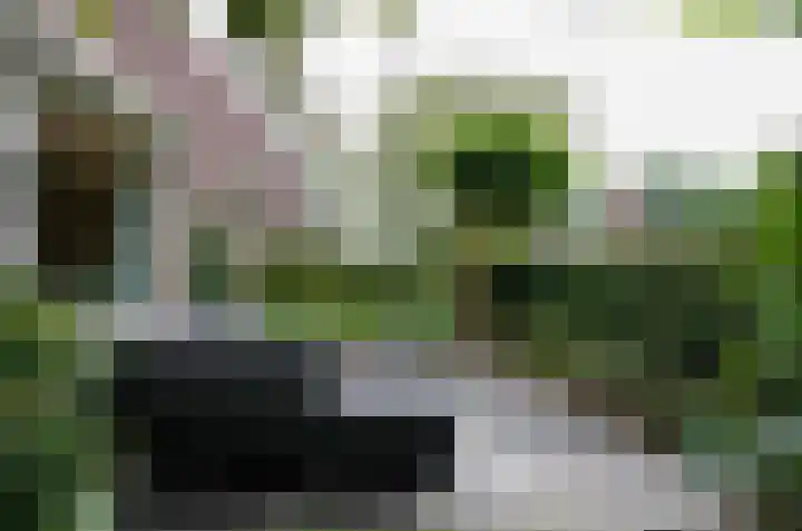 Kruiskruidlaan 23 Beilen thumbnail 39