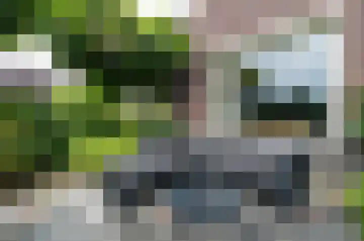 Kruiskruidlaan 23 Beilen thumbnail 40