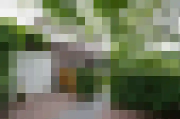 Kruiskruidlaan 23 Beilen thumbnail 42