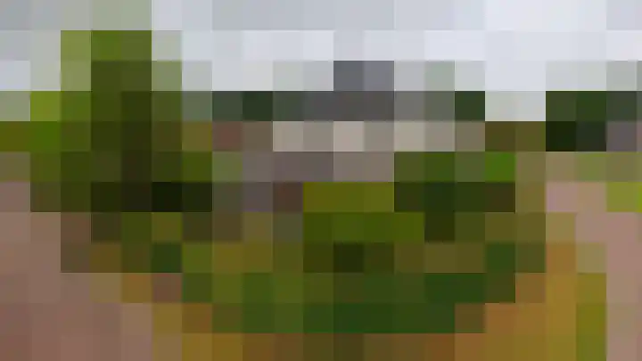 Kruiskruidlaan 23 Beilen thumbnail 43