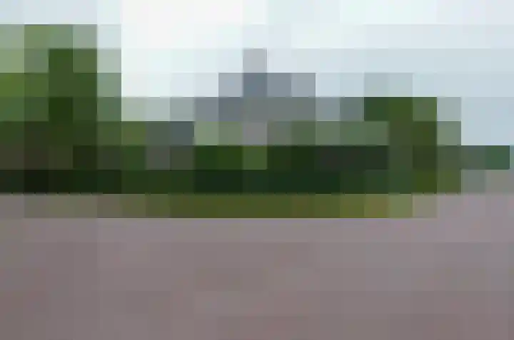 Kruiskruidlaan 23 Beilen thumbnail 44