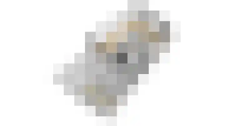Kruiskruidlaan 23 Beilen thumbnail 46
