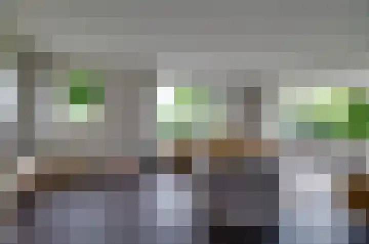 Kruiskruidlaan 23 Beilen thumbnail 5