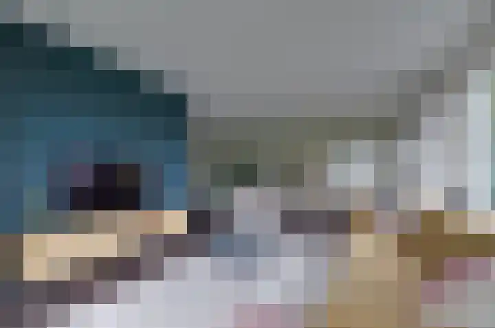 Kruiskruidlaan 23 Beilen thumbnail 8