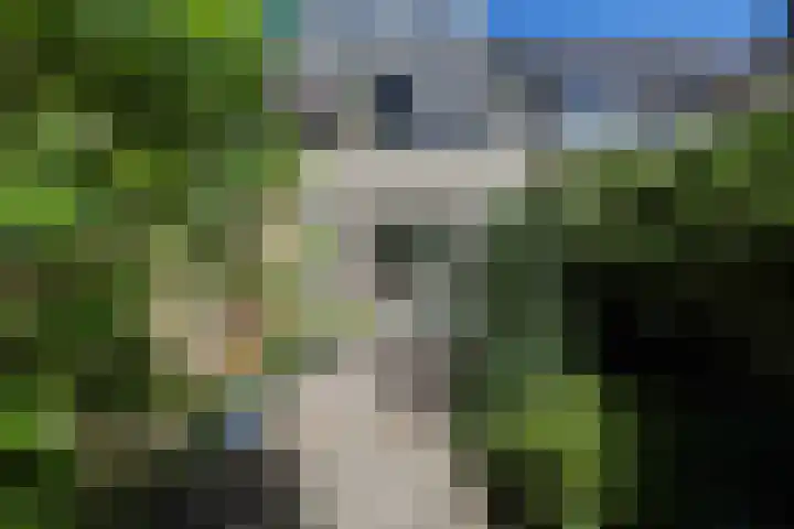 Kruiskruidlaan 58 Baarn thumbnail 34