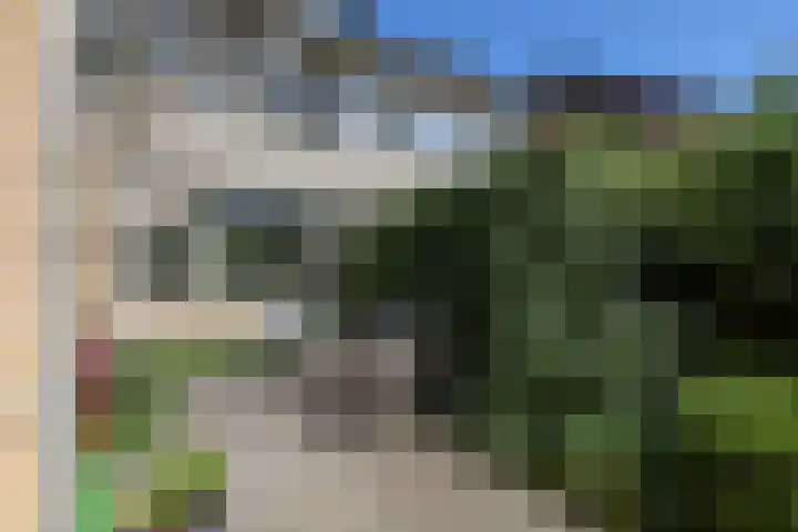 Kruiskruidlaan 58 Baarn thumbnail 35