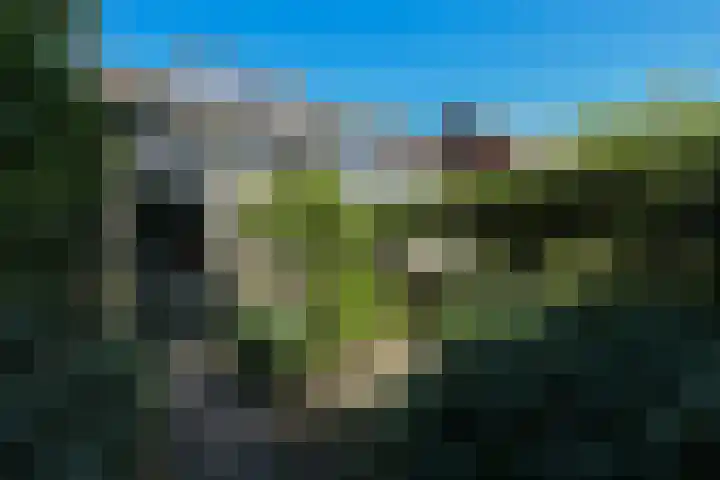 Kruiskruidlaan 58 Baarn thumbnail 36