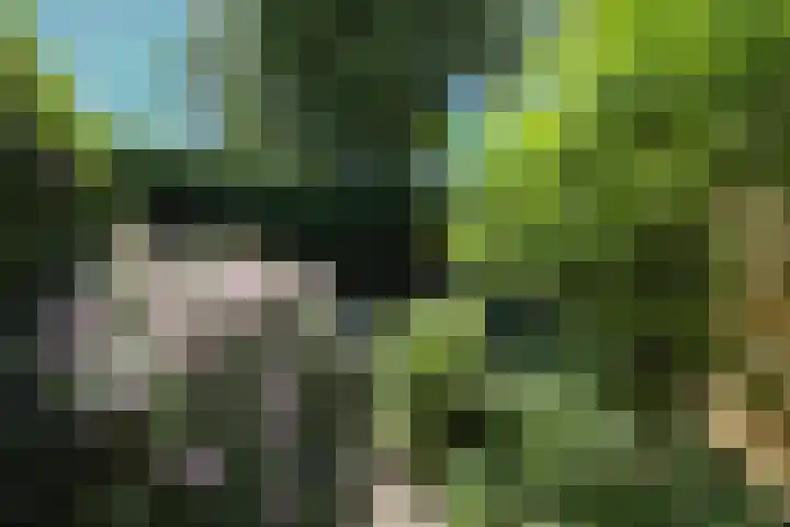 Kruiskruidlaan 58 Baarn thumbnail 37