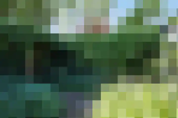 Kruiskruidlaan 58 Baarn thumbnail 38