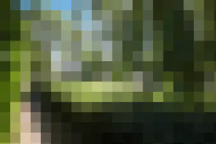 Kruiskruidlaan 58 Baarn thumbnail 39