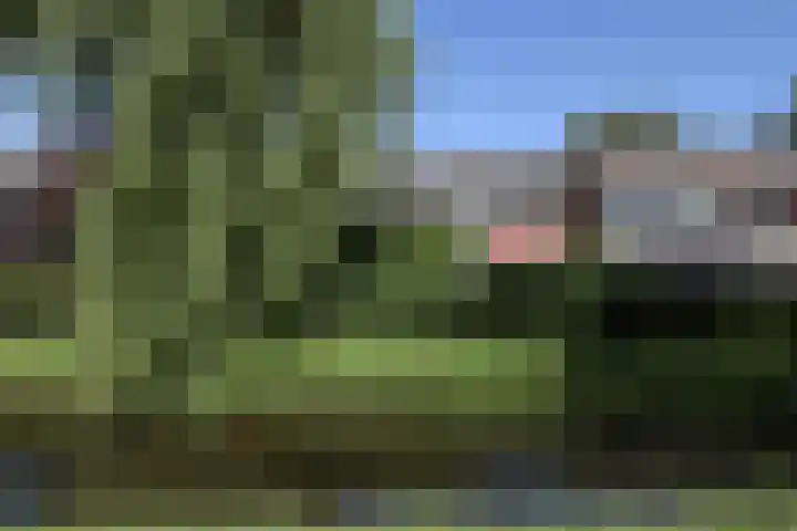 Kruiskruidlaan 58 Baarn thumbnail 41