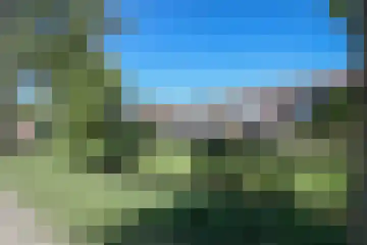 Kruiskruidlaan 58 Baarn thumbnail 42