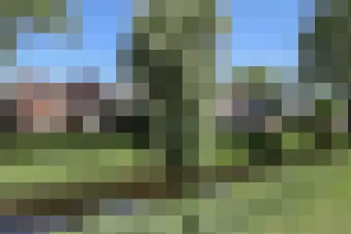 Kruiskruidlaan 58 Baarn thumbnail 43