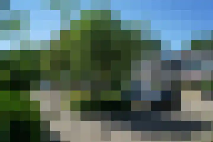 Kruiskruidlaan 58 Baarn thumbnail 46